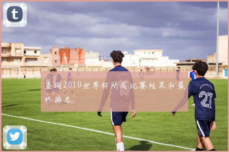 查询2010世界杯所有比赛结果和最终排名